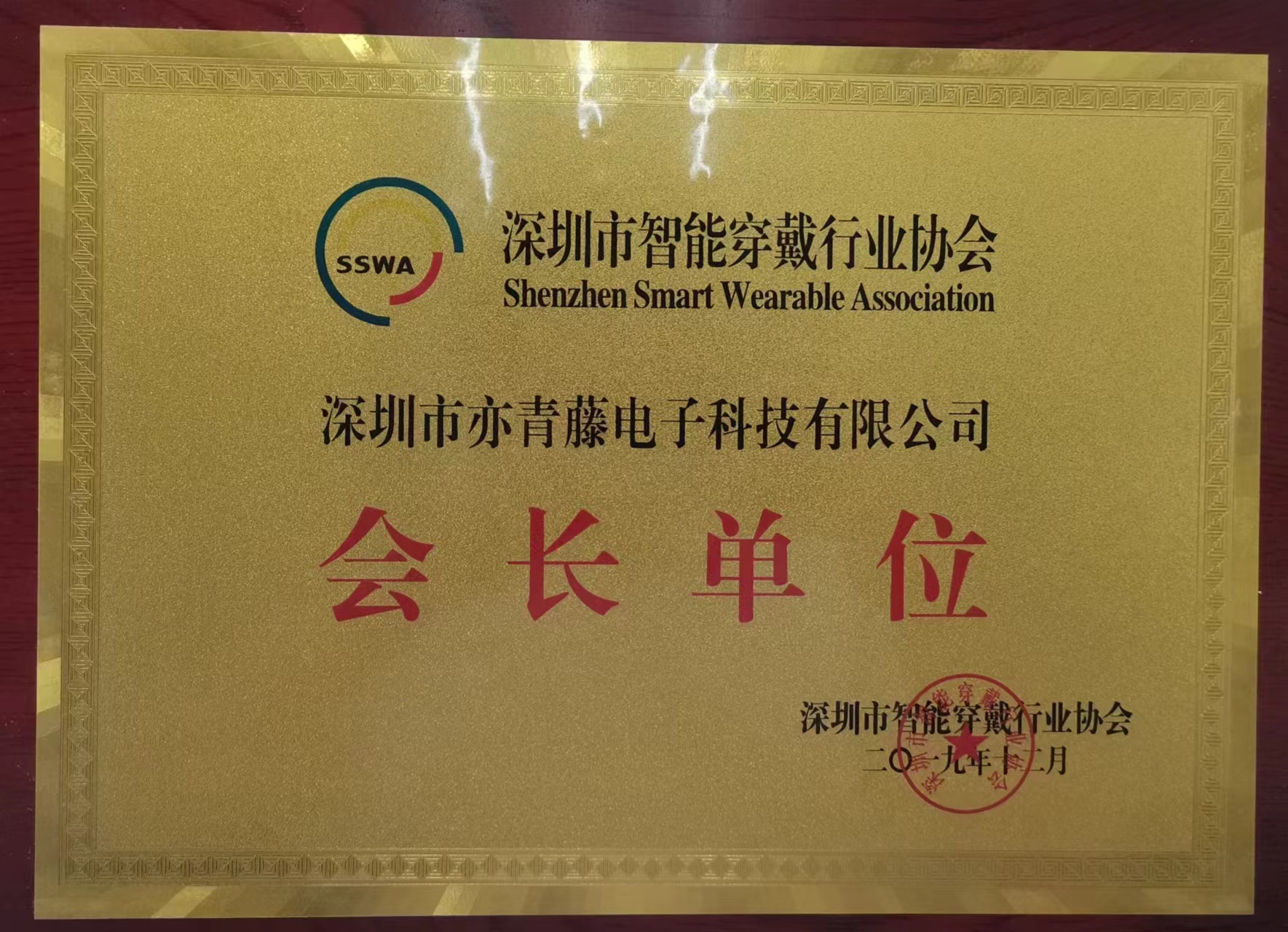 寶安智能穿戴協會會長單位